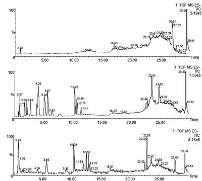 High Throughput mRNA Sequencing Reveals Potential Therapeutic Targets of Tao-Hong-Si-Wu Decoction in Experimental Middle Cerebral Artery Occlusion